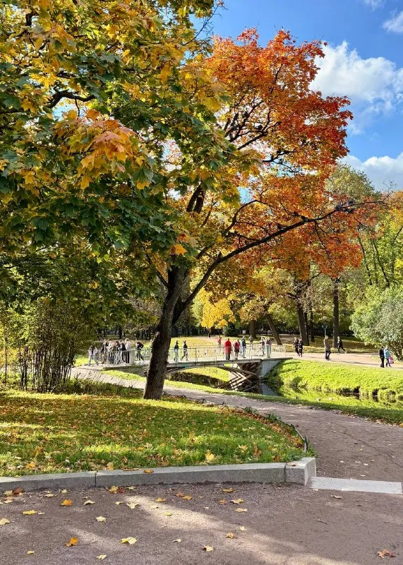 📍Пейзажный Таврический сад был создан в 1780-х гг рядом с Таврическим дворцом князя Потёмкина.