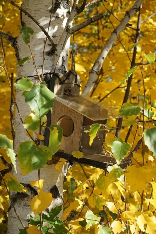 🍂 Фото для поднятия осеннего настроения