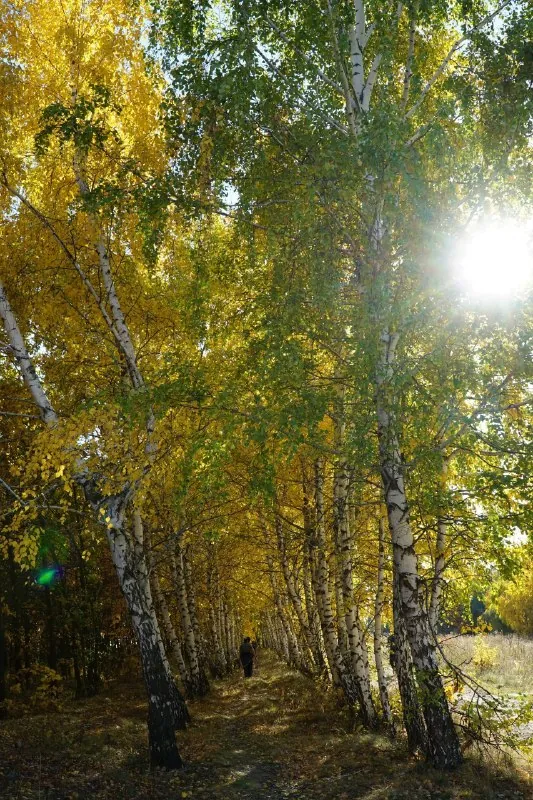 🍂 Фото для поднятия осеннего настроения