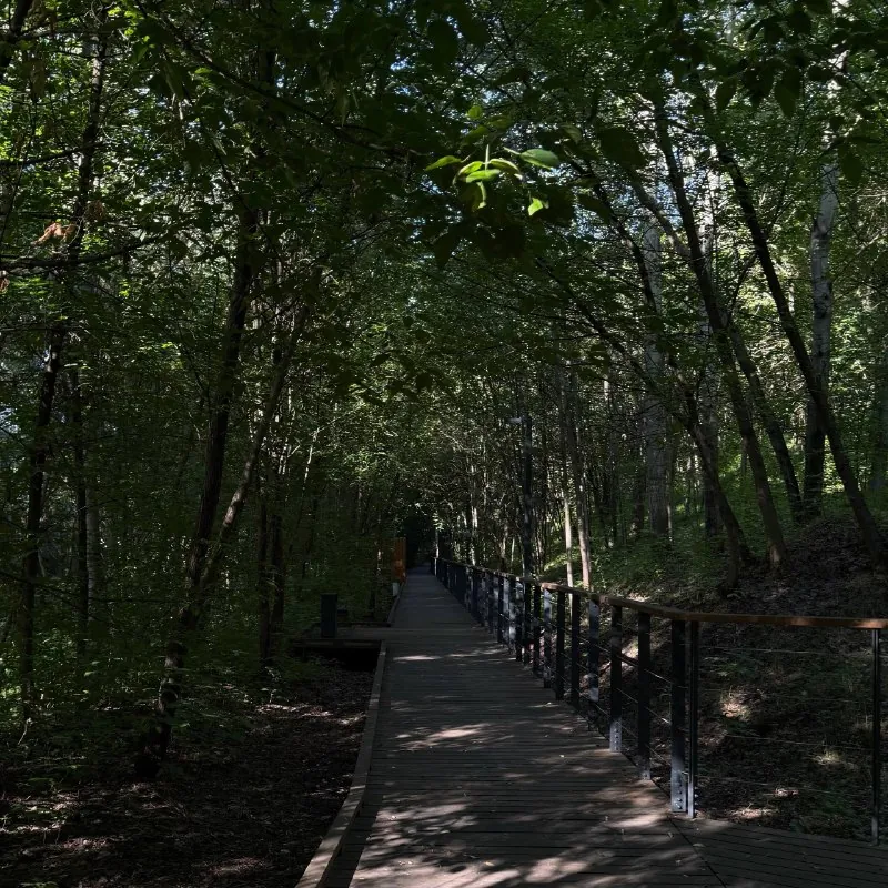 вы просто посмотрите в какой атмосфере я регулярно бегаю.