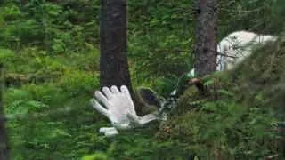 Возвращение лося-призрака.