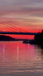 Понедельник. Вучич в отставке, но мы тут не об этом.