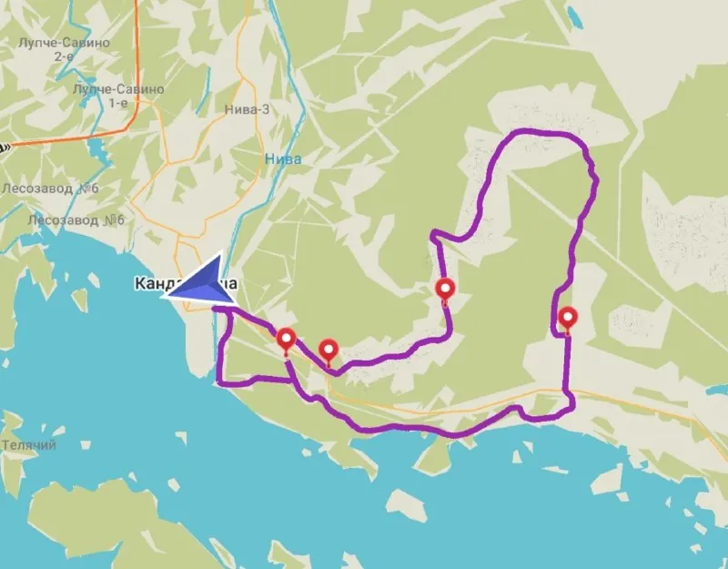 Лахти трейл 35 км в окрестностях Кандалакши.