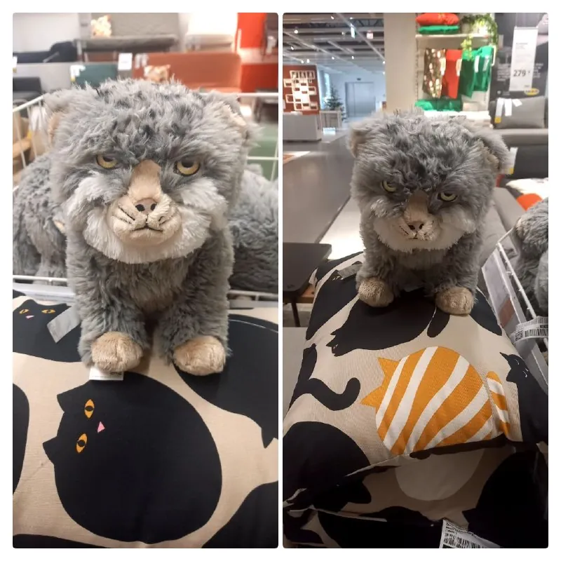 в IKEA-Rīga с 1 октября в продаже появился плюшевый манул