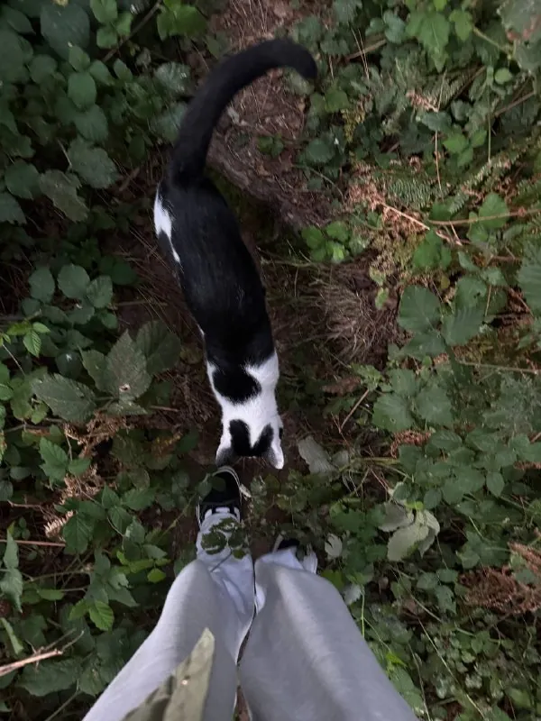 то были выходные, то было в лесу 🤍🌳