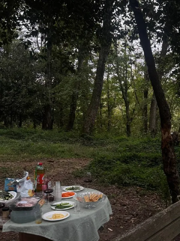 то были выходные, то было в лесу 🤍🌳