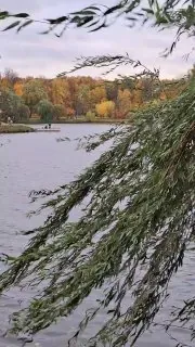Ещё утром вообще никуда не собирались...