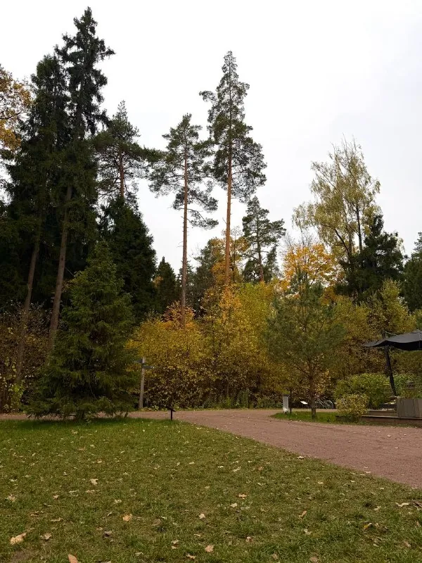 новое хобби этой осенью — объездить все самые красивые парки москвы 🍂