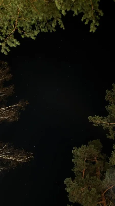 Вы только взгляните, с каким видом я засыпала🌌💔