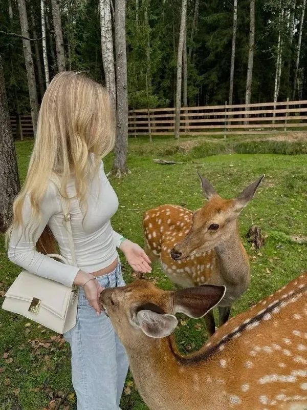 🦌 Встретить оленей в Ораниенбауме можно бесплатно!