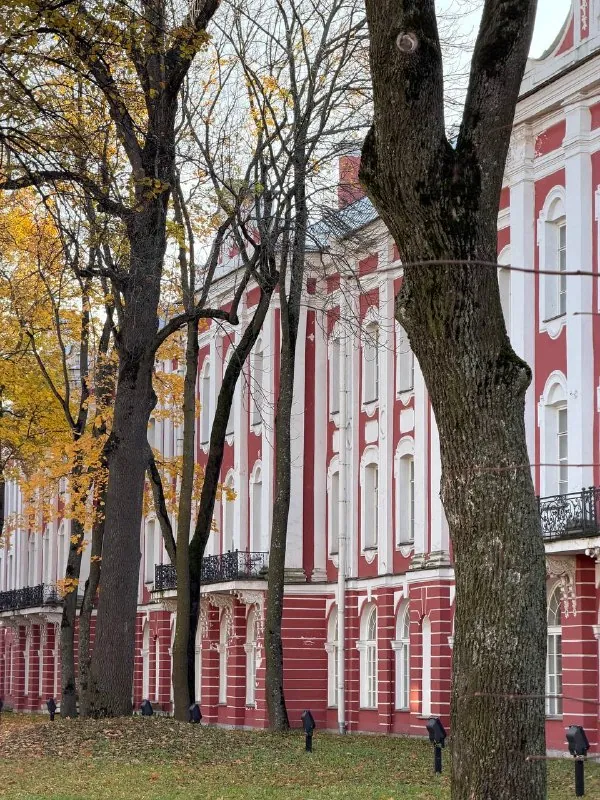 День трудоустройства 👨🏻‍🎓