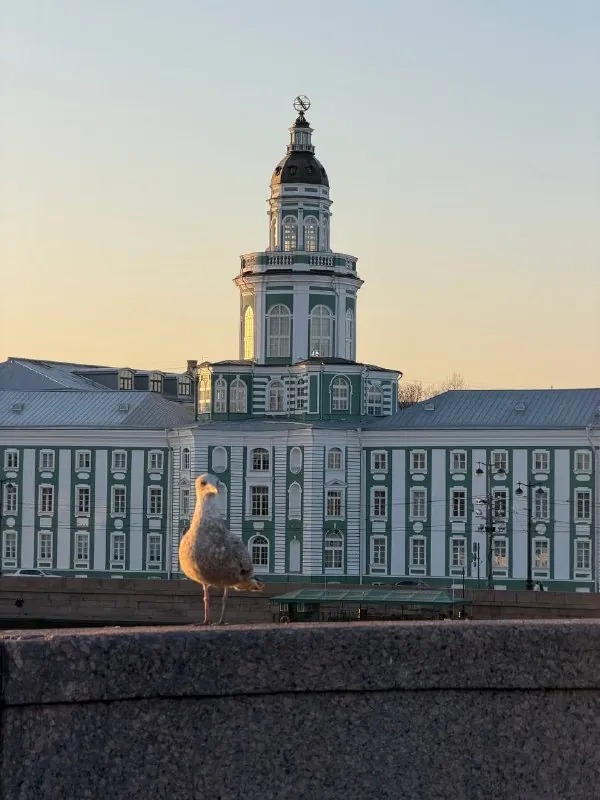 День трудоустройства 👨🏻‍🎓