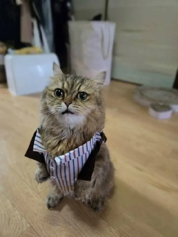 В Зону — только с проверенным напарником 🐾