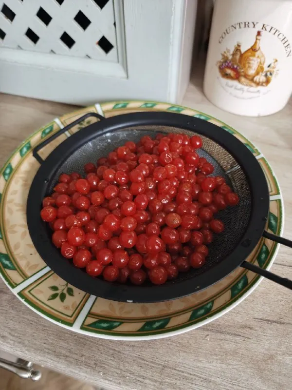 Сегодня заготавливаю калину для пастилы.