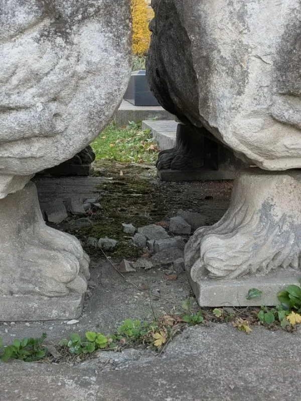 Лапки. Обожаю