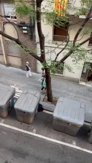 Удивительное наблюдение последних дней.