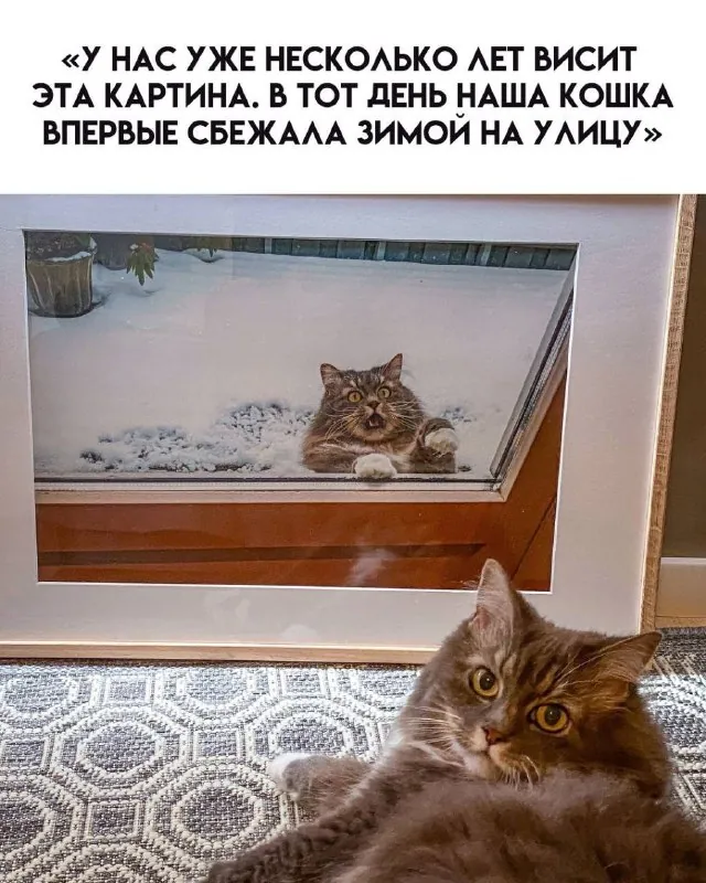 Сразу вспомнилось это😂