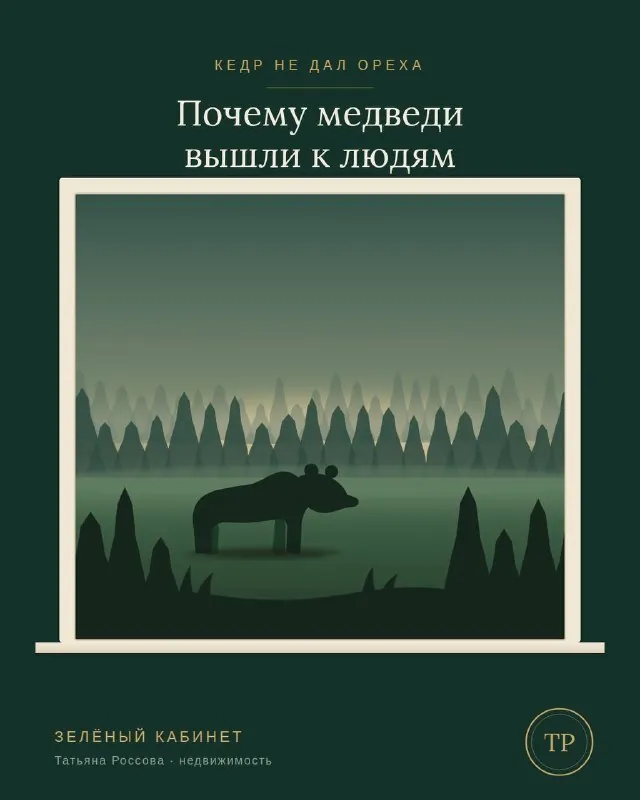 Дорогие мои подписчики,