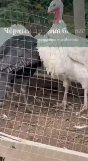 Дорогие мои подписчики, доброе утро и с новой неделей!