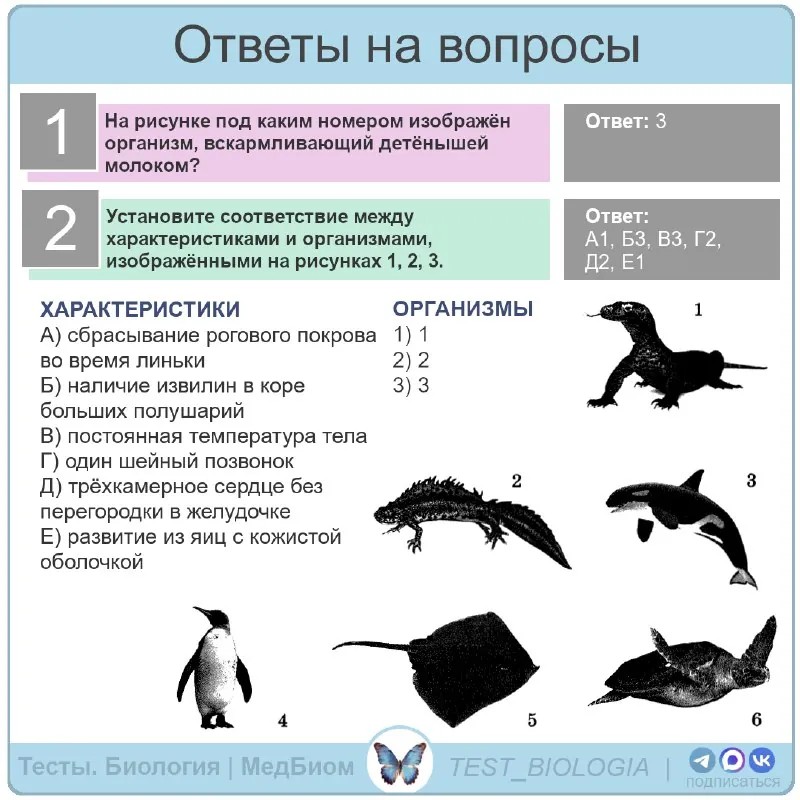 🔼Ответы на вопросы