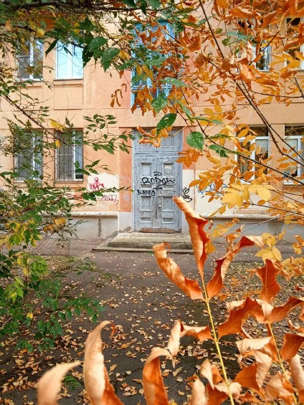 Прогулка по Волжскому и эти оттенки охры вокруг как нельзя кстати подходят прозе Карстена Себастиана Хенн "Служба…