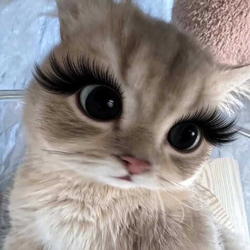 Очень мило 😻