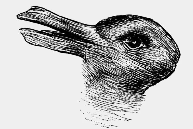 … решение Людвига Витгенштейна использовать этот рисунок-головоломку в своих «Философских исследованиях» для…