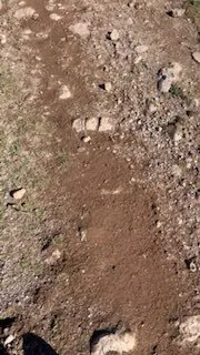 Arkhyz Wild Trail 2026