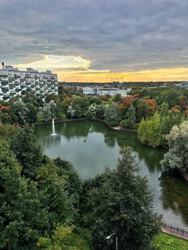Какое мимишество я тут нашла у себя на районе🫶🌿