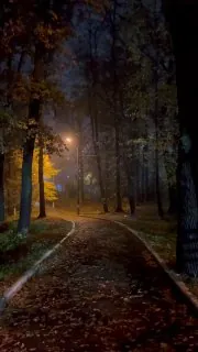 Полпервого ночи 🌙