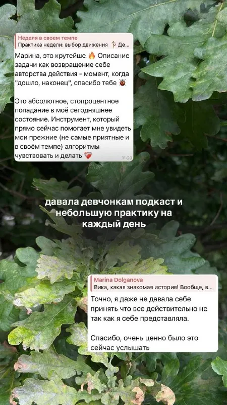 Как прошла «Неделя в своем темпе»?