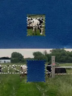 письма на память о лете 🌸