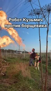 в Подмосковье борьба с борщевиком идет без пощады (а то мы знаем, что бывает, если нет) #роботы