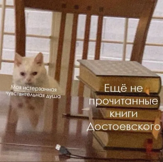 уверена вечер пятницы лучшее время для книжных мемов 🙂