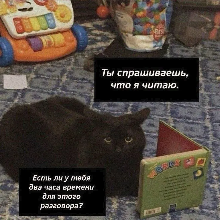 уверена вечер пятницы лучшее время для книжных мемов 🙂