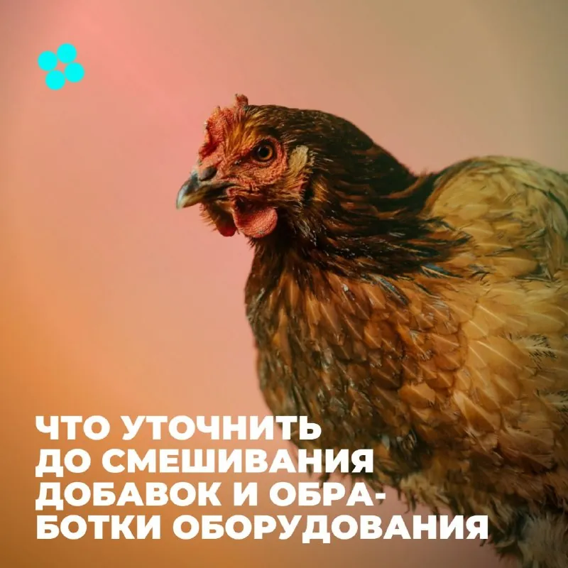 Совместимость: что уточнить до смешивания добавок и обработки оборудования