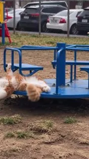 Пятница проходит примерно так.