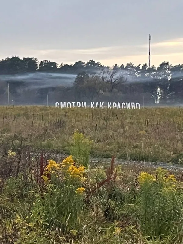 Завершилась моя небольшая поездка в Мск, итого: