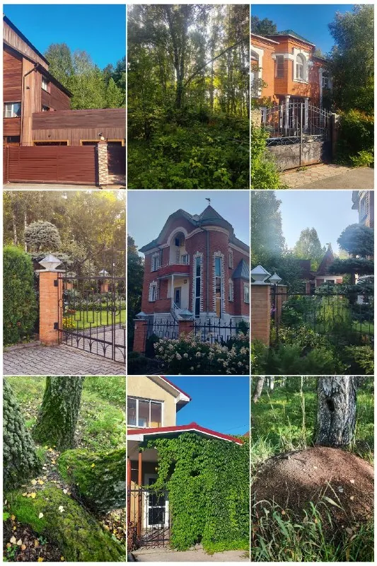 #повод_для_радости