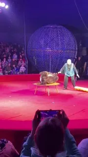 В субботу мы впервые с Кириллом попали в цирк 🎪