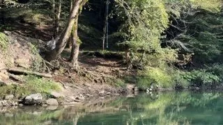 Русло реки Кудепста