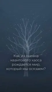 🌿 Мы смотрим на одно и то же дерево и соглашаемся: у него есть ствол, ветви, шелестящие листья.