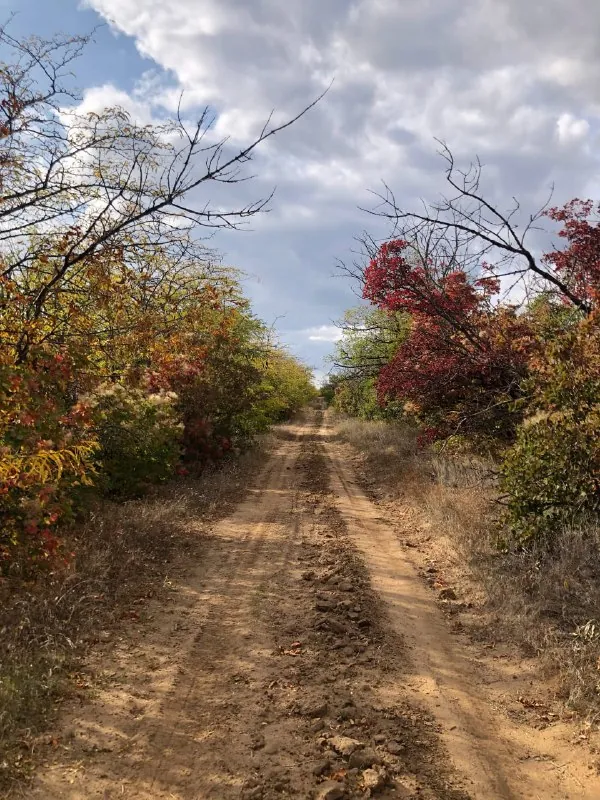 📍Волгоград. День 1.