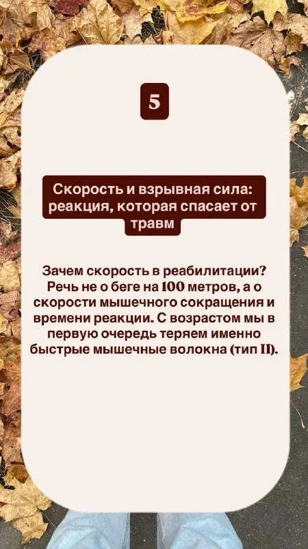 Скорость 🏎️