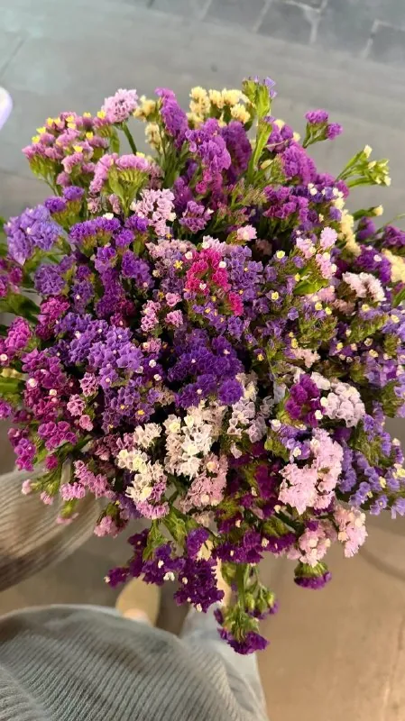 Первый пасмурный день за весь месяц ☁️💜