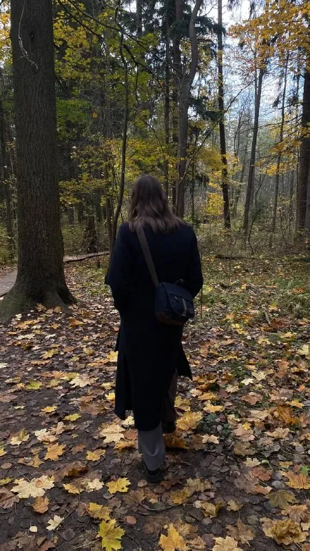 Учиться или гулять в Комарово?