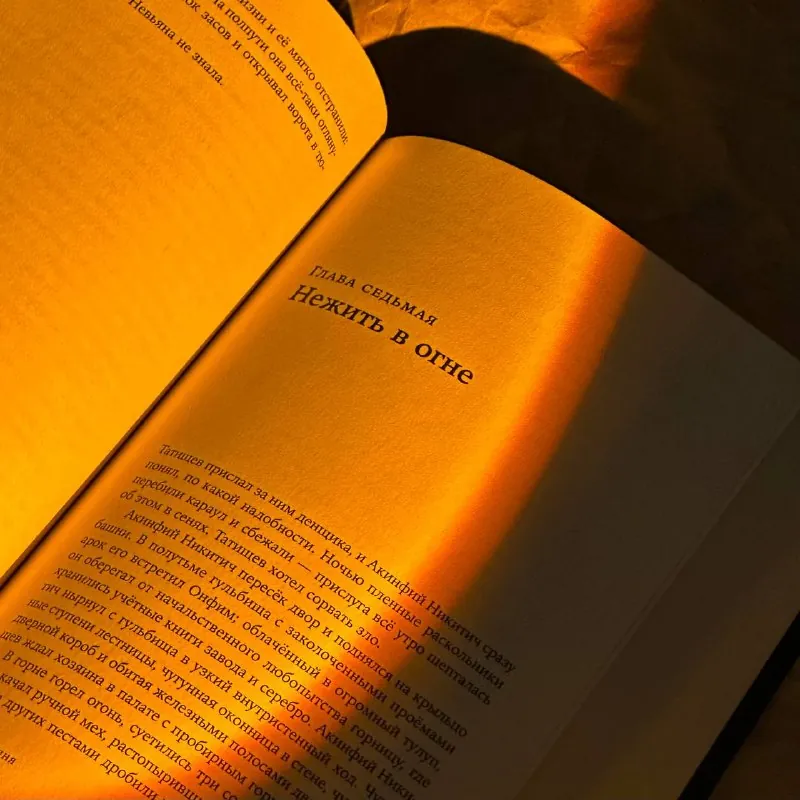 📖 Алексей Иванов в романе «Невьянская башня» удивительным образом соединяет историческую достоверность с мистикой, и…