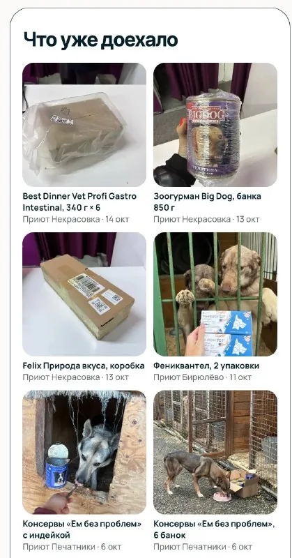 Самые благодарные лапки на свете.